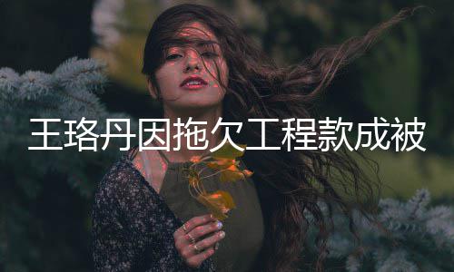 丹因的3拖欠 执工程王珞万行人行标款成被执