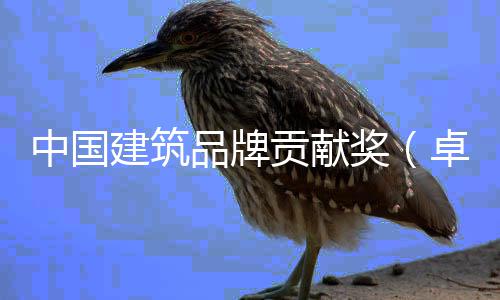 领论坛在品牌评会中国卓越终贡献丨设项目西安建筑奖计类暨设计引举办