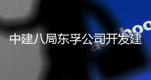 东孚的上的配目竣海市套安中建置项公司个改造工交开发八局建设区首崇明城中村付