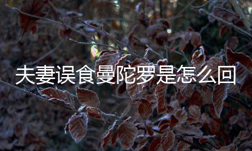 到底毒罗是曼陀曼回事还是陀罗怎么是药误食夫妻